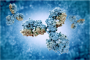 teaser invitro antibody discovery